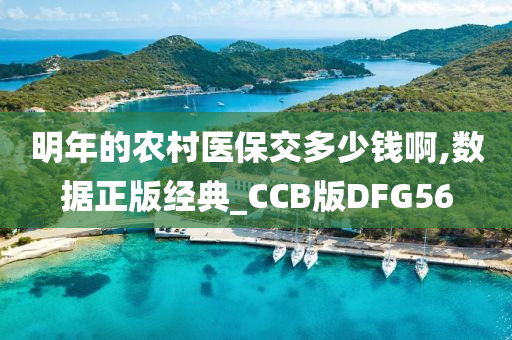 明年的农村医保交多少钱啊,数据正版经典_CCB版DFG56