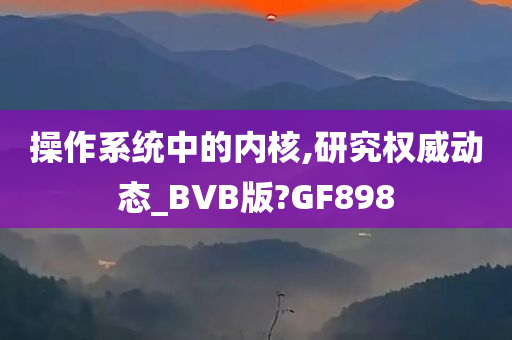 操作系统中的内核,研究权威动态_BVB版?GF898