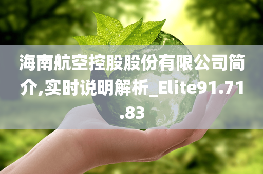 海南航空控股股份有限公司简介,实时说明解析_Elite91.71.83