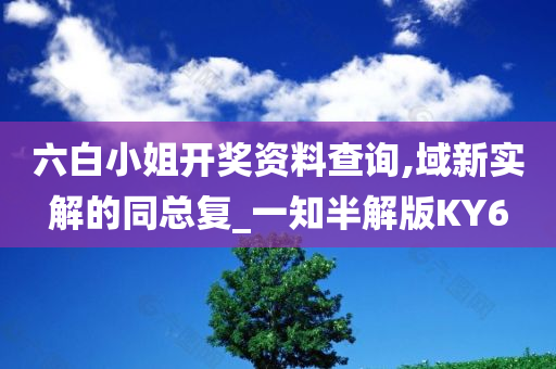 六白小姐开奖资料查询,域新实解的同总复_一知半解版KY6