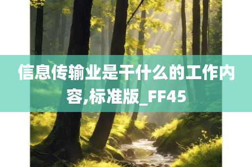 信息传输业是干什么的工作内容,标准版_FF45