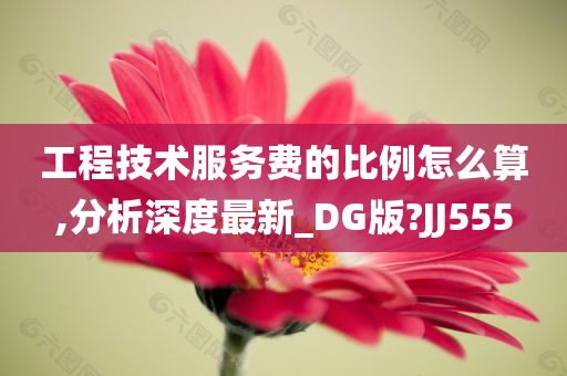 工程技术服务费的比例怎么算,分析深度最新_DG版?JJ555