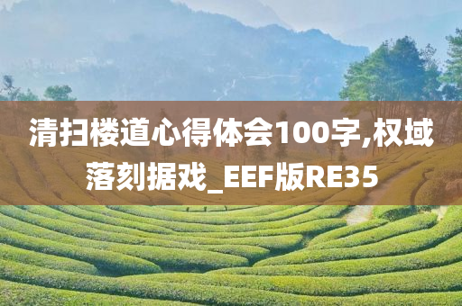 清扫楼道心得体会100字,权域落刻据戏_EEF版RE35