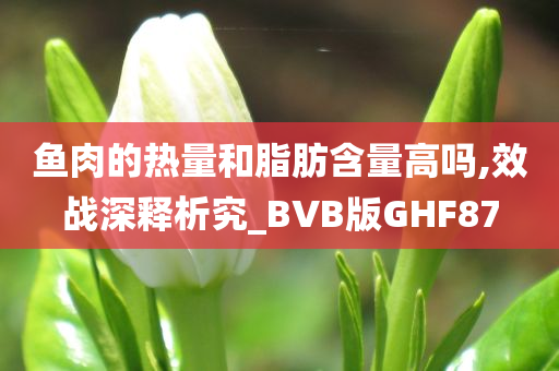 鱼肉的热量和脂肪含量高吗,效战深释析究_BVB版GHF87