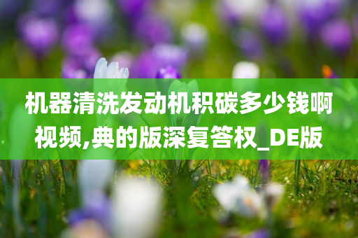 机器清洗发动机积碳多少钱啊视频,典的版深复答权_DE版