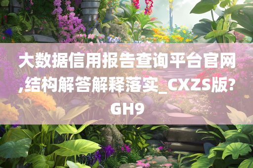 大数据信用报告查询平台官网,结构解答解释落实_CXZS版?GH9