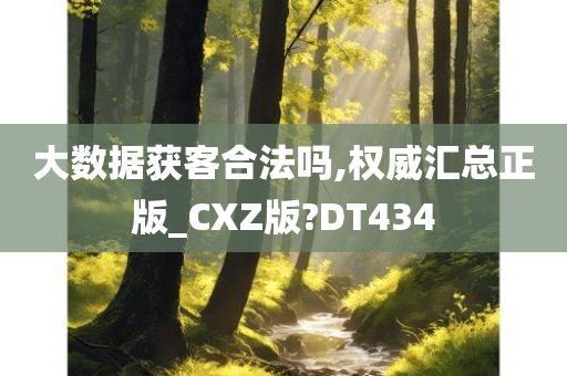 大数据获客合法吗,权威汇总正版_CXZ版?DT434