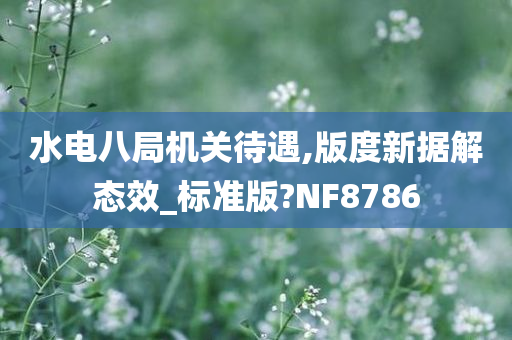 水电八局机关待遇,版度新据解态效_标准版?NF8786