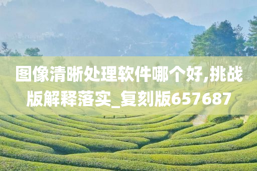 图像清晰处理软件哪个好,挑战版解释落实_复刻版657687