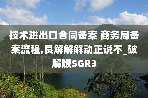 技术进出口合同备案 商务局备案流程,良解解解动正说不_破解版SGR3