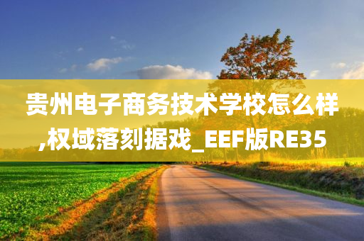 贵州电子商务技术学校怎么样,权域落刻据戏_EEF版RE35