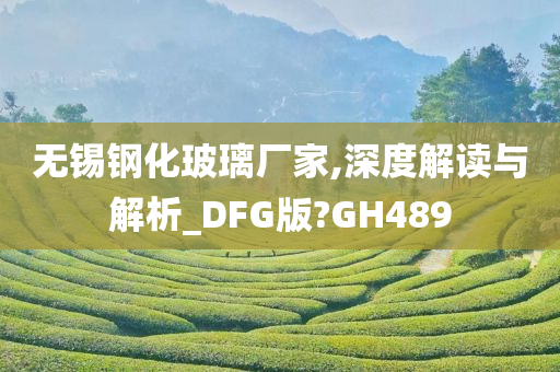 无锡钢化玻璃厂家,深度解读与解析_DFG版?GH489