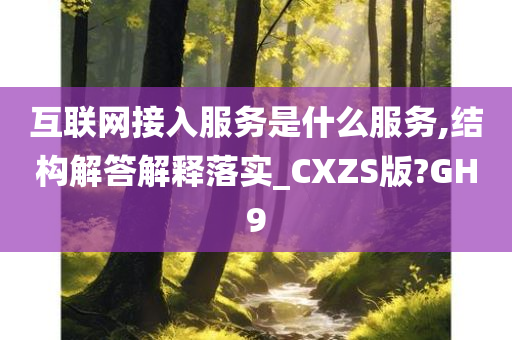 互联网接入服务是什么服务,结构解答解释落实_CXZS版?GH9