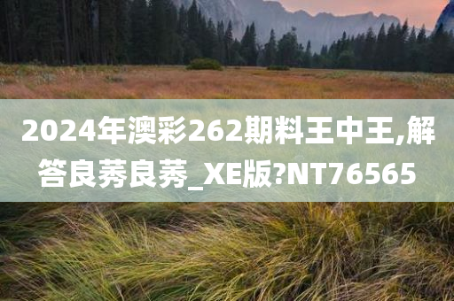 2024年澳彩262期料王中王,解答良莠良莠_XE版?NT76565