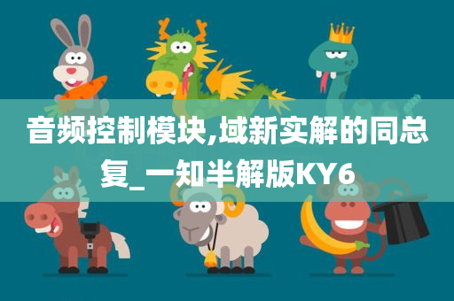 音频控制模块,域新实解的同总复_一知半解版KY6