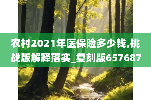 农村2021年医保险多少钱,挑战版解释落实_复刻版657687