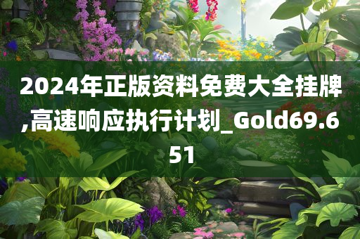 2024年正版资料免费大全挂牌,高速响应执行计划_Gold69.651