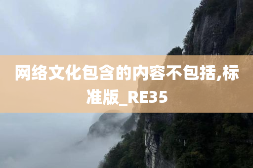 网络文化包含的内容不包括,标准版_RE35