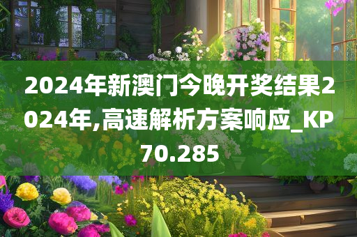 2024年新澳门今晚开奖结果2024年,高速解析方案响应_KP70.285