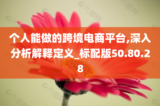 个人能做的跨境电商平台,深入分析解释定义_标配版50.80.28