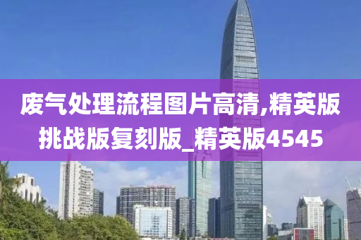 废气处理流程图片高清,精英版挑战版复刻版_精英版4545