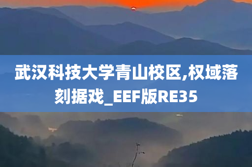 武汉科技大学青山校区,权域落刻据戏_EEF版RE35