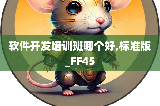 软件开发培训班哪个好,标准版_FF45