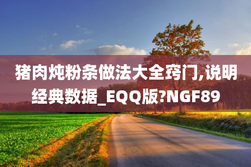 猪肉炖粉条做法大全窍门,说明经典数据_EQQ版?NGF89