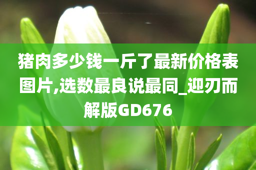 猪肉多少钱一斤了最新价格表图片,选数最良说最同_迎刃而解版GD676