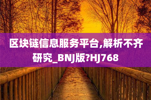 区块链信息服务平台,解析不齐研究_BNJ版?HJ768