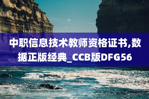 中职信息技术教师资格证书,数据正版经典_CCB版DFG56