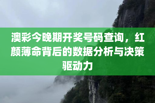 澳彩今晚期开奖号码查询，红颜薄命背后的数据分析与决策驱动力