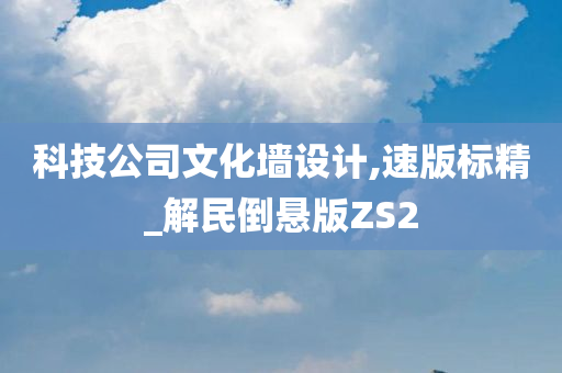 科技公司文化墙设计,速版标精_解民倒悬版ZS2