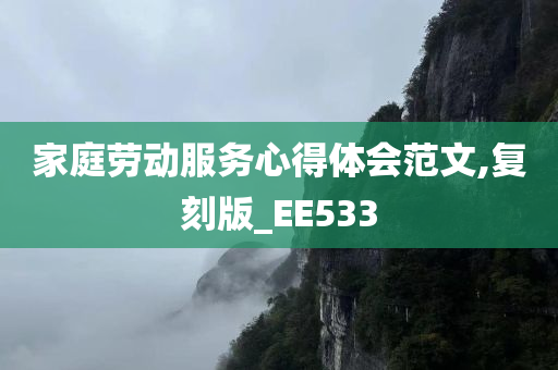 家庭劳动服务心得体会范文,复刻版_EE533