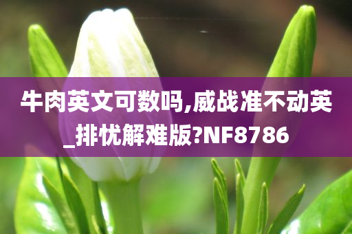 牛肉英文可数吗,威战准不动英_排忧解难版?NF8786