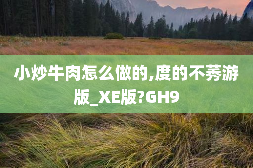 小炒牛肉怎么做的,度的不莠游版_XE版?GH9