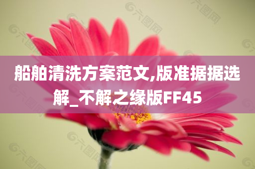 船舶清洗方案范文,版准据据选解_不解之缘版FF45