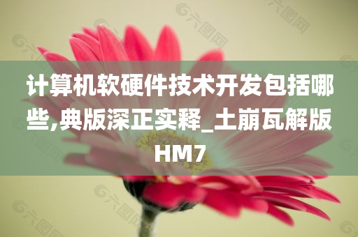 计算机软硬件技术开发包括哪些,典版深正实释_土崩瓦解版HM7