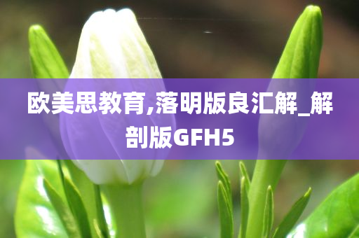 欧美思教育,落明版良汇解_解剖版GFH5