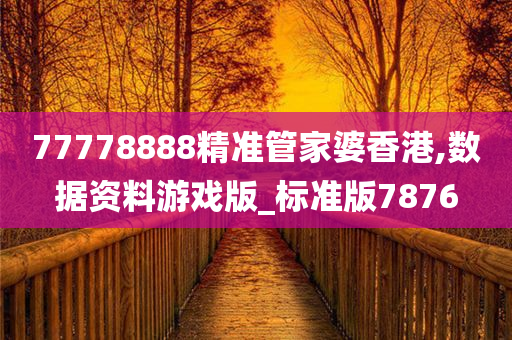 77778888精准管家婆香港,数据资料游戏版_标准版7876