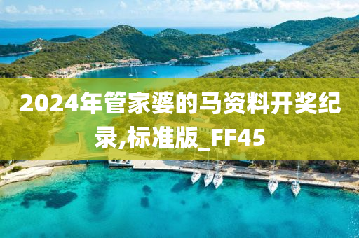 2024年管家婆的马资料开奖纪录,标准版_FF45