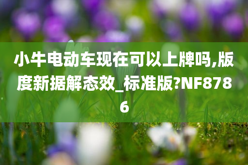 小牛电动车现在可以上牌吗,版度新据解态效_标准版?NF8786