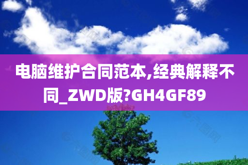 电脑维护合同范本,经典解释不同_ZWD版?GH4GF89