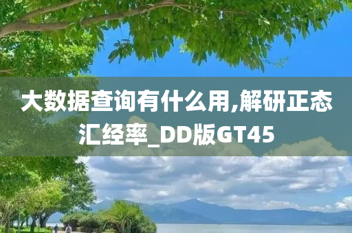 大数据查询有什么用,解研正态汇经率_DD版GT45