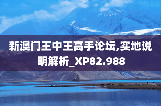 新澳门王中王高手论坛,实地说明解析_XP82.988