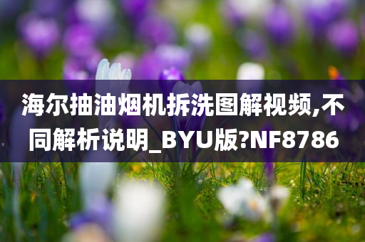 海尔抽油烟机拆洗图解视频,不同解析说明_BYU版?NF8786