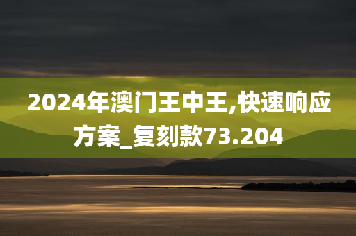 2024年澳门王中王,快速响应方案_复刻款73.204