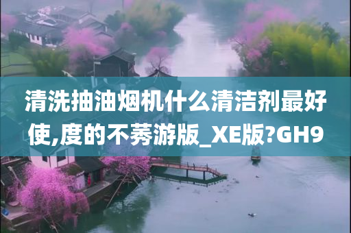 清洗抽油烟机什么清洁剂最好使,度的不莠游版_XE版?GH9