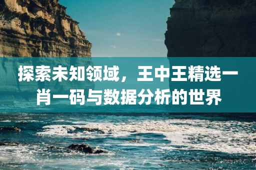 探索未知领域，王中王精选一肖一码与数据分析的世界