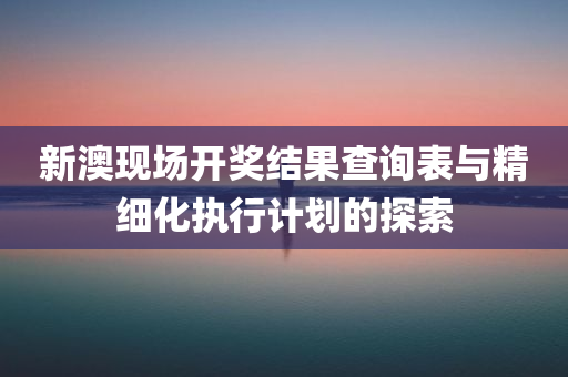 新澳现场开奖结果查询表与精细化执行计划的探索